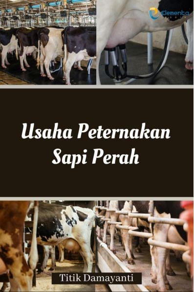 Usaha Peternakan Sapi Perah